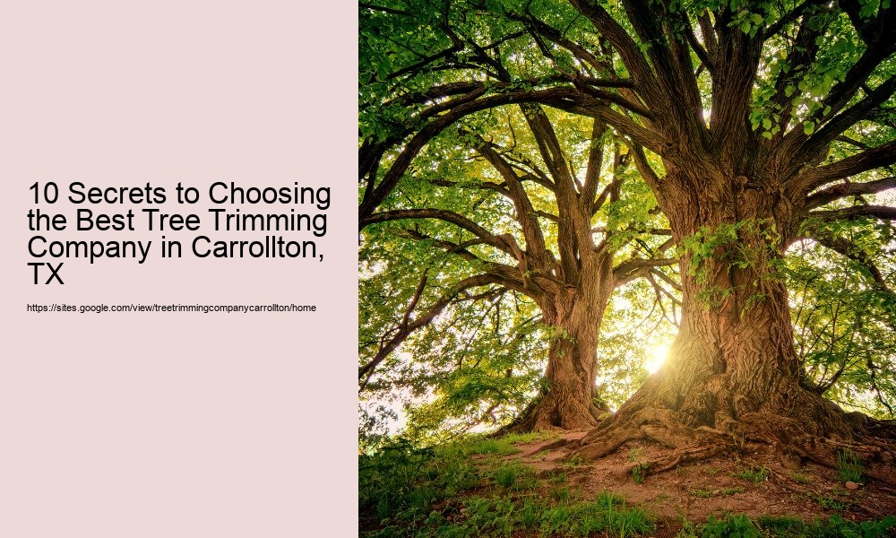 10 Secrets to Choosing the Best Tree Trimming Company in Carrollton, TX