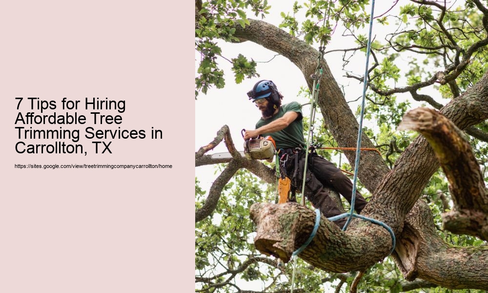7 Tips for Hiring Affordable Tree Trimming Services in Carrollton, TX