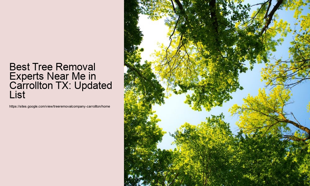 Best Tree Removal Experts Near Me in Carrollton TX: Updated List