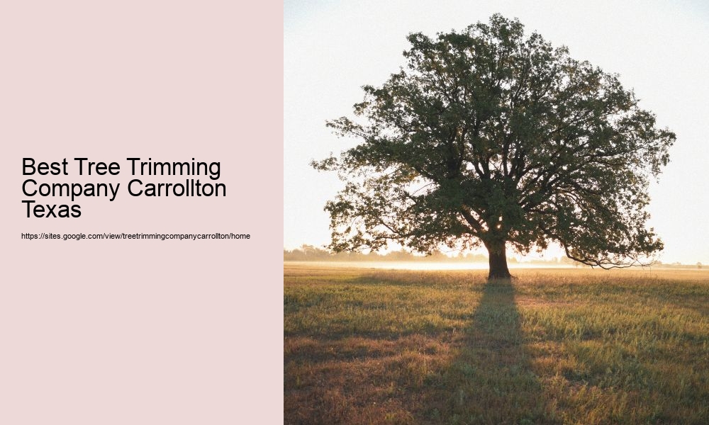 Best Tree Trimming Company Carrollton Texas