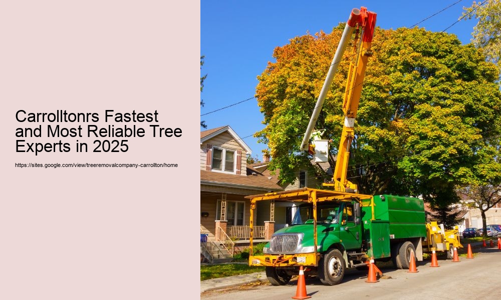 Carrolltonrs Fastest and Most Reliable Tree Experts in 2025