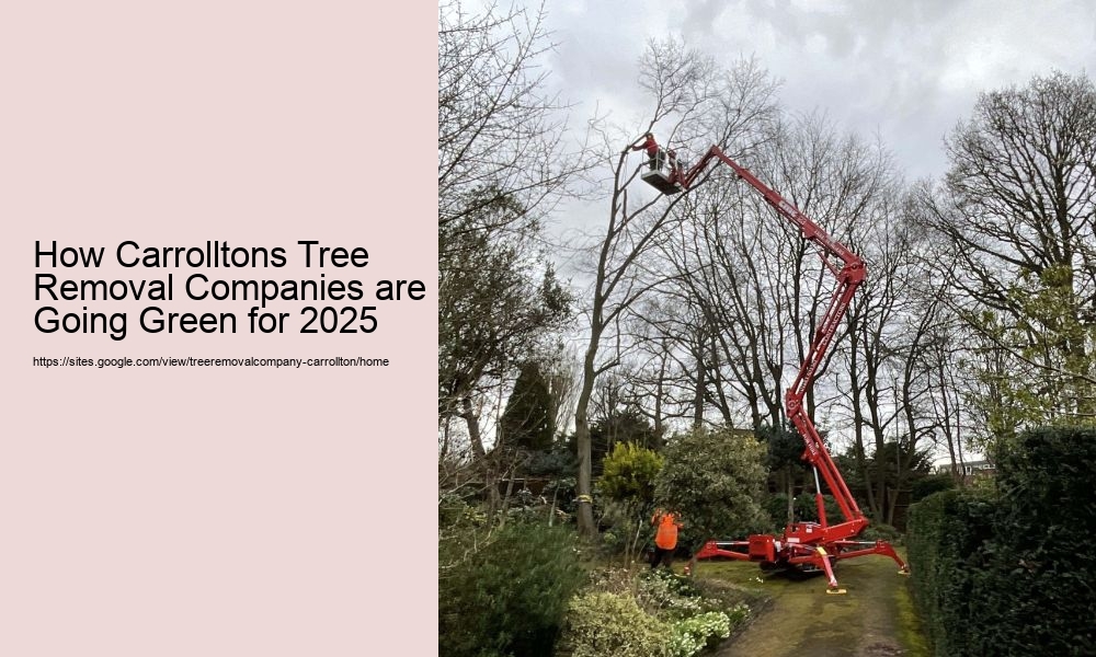 How Carrolltons Tree Removal Companies are Going Green for 2025