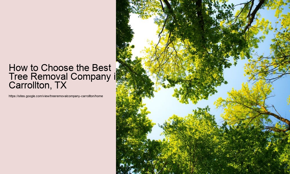 How to Choose the Best Tree Removal Company in Carrollton, TX