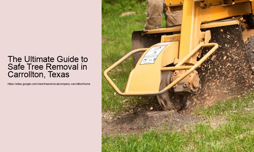 The Ultimate Guide to Safe Tree Removal in Carrollton, Texas