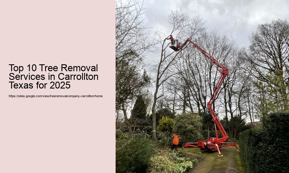 Top 10 Tree Removal Services in Carrollton Texas for 2025