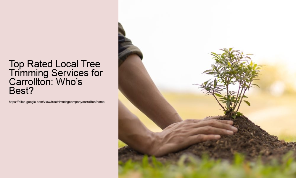 Top Rated Local Tree Trimming Services for Carrollton: Who’s Best?