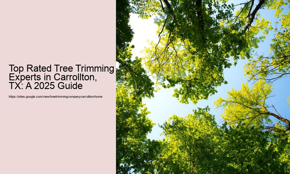 Top Rated Tree Trimming Experts in Carrollton, TX: A 2025 Guide