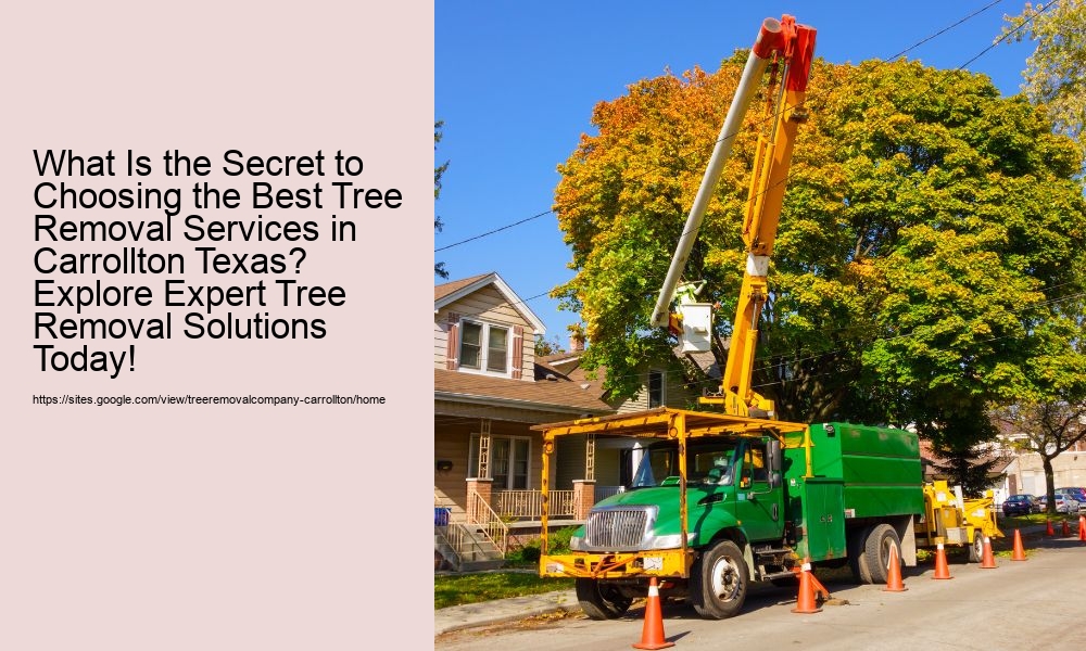 What Is the Secret to Choosing the Best Tree Removal Services in Carrollton Texas? Explore Expert Tree Removal Solutions Today!