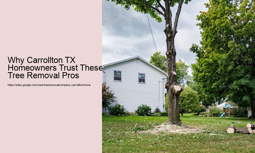 Why Carrollton TX Homeowners Trust These Tree Removal Pros